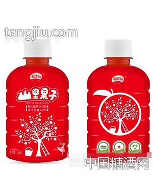 宏瑞轩山里果子野山楂果汁饮料350ml