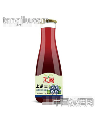 汇源上选蓝莓汁饮料瓶装920ml