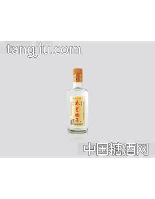 木兰娇子