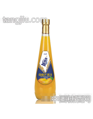 怀源益维客印度芒果汁饮料828ml