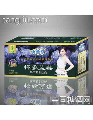 小羊村怀参蓝莓果肉饮品200mlX15