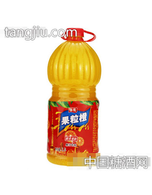 华龙果粒橙果汁汁饮料2.5L
