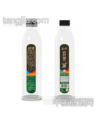 立仁印象派饮用天然矿泉水520ml
