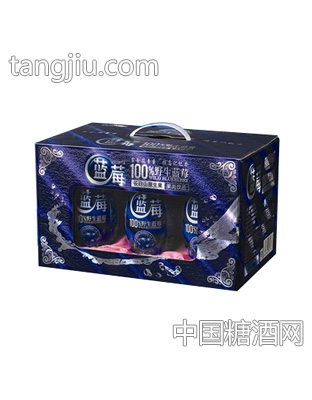 华泰蓝莓汁礼盒