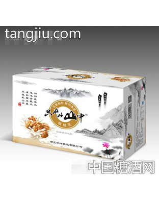 华洋核桃乳（白罐）240mlx20罐