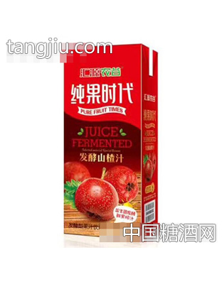 汇源农谷纯果时代山楂汁饮品250ml