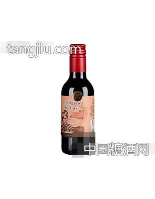 智然美赤霞珠红葡萄酒187ml