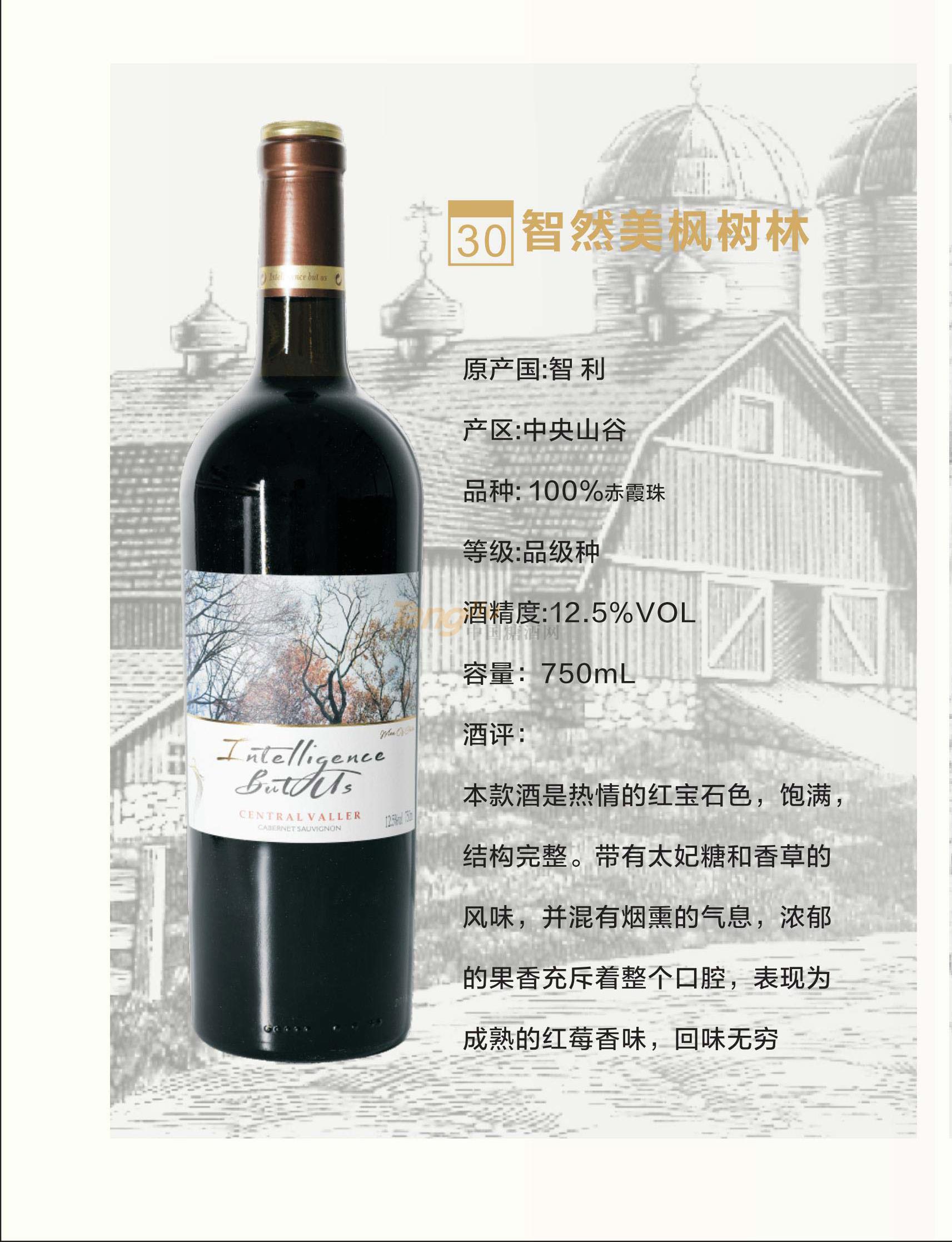 智然美枫树林产品介绍.jpg