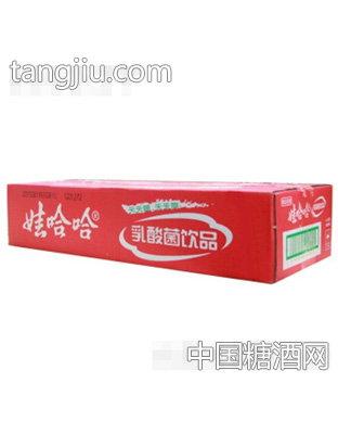 娃哈哈乳酸菌饮品100mlx40