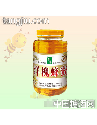 花之源洋槐蜂蜜580g