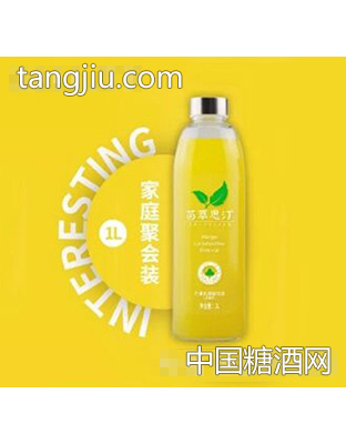 茵萃思汀芒果乳酸菌1L