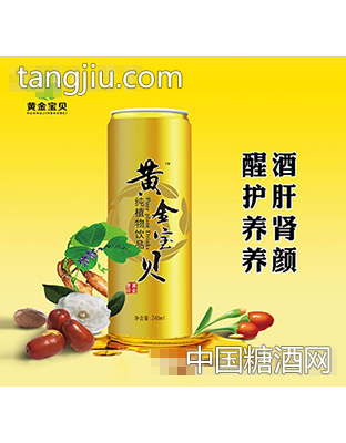 黄金宝贝单罐装246ml