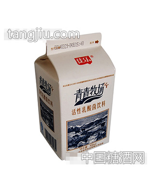 佳乐青青牧场活性乳酸菌饮料500ml