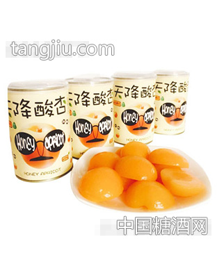 天降酸杏罐头(罐装)