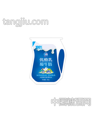 澳牛爱克林酸牛奶(经典原味)