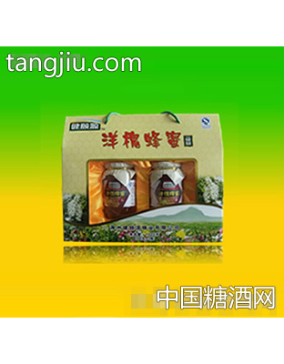 健颐源洋槐蜂蜜礼盒
