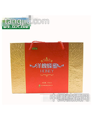 健颐源洋槐蜂蜜礼盒500gx2