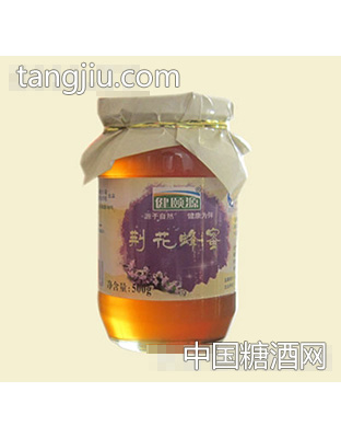 健颐源荆花蜂蜜500g