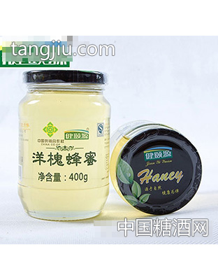 健颐源洋槐蜂蜜400g