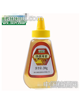 健颐源洋槐蜂蜜280g