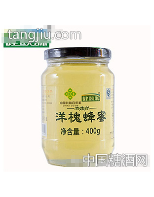 健颐源洋槐蜂蜜400g瓶