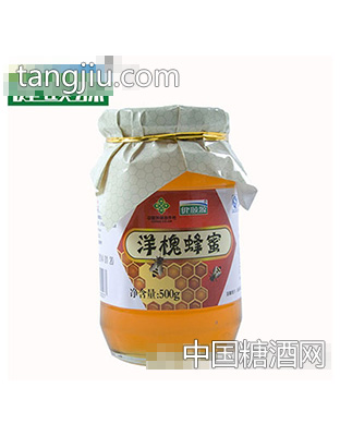 健颐源洋槐蜂蜜500g