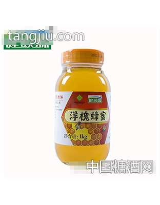 健颐源洋槐蜂蜜1000g