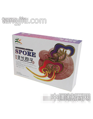 灵芝狍子