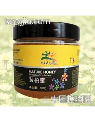 健之源黄柏蜜500g
