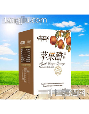 828mlx6瓶大北方苹果醋饮料