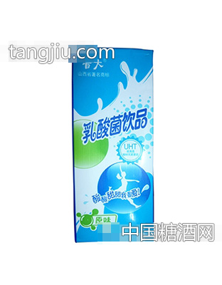 晋大乳酸菌饮品248ml