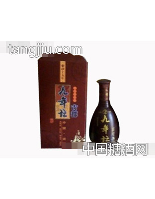 紫砂9坛酒