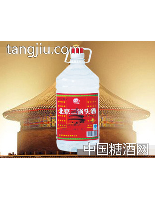 北京二锅头酒42度4.5L酒