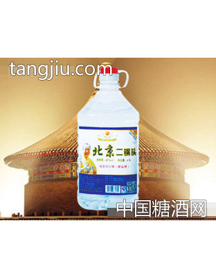 北京二锅头酒42度4.5L