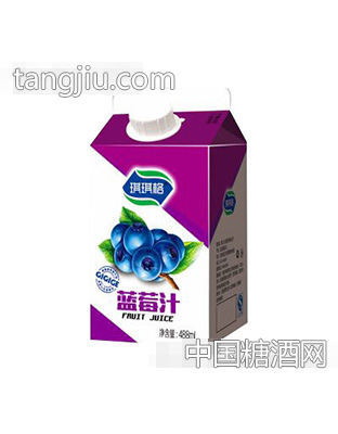 琪琪格蓝莓汁488ml