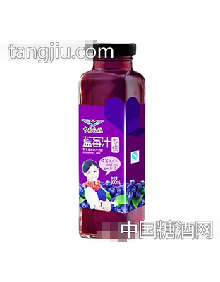 蓝莓汁果汁饮料300ml