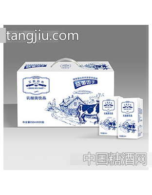 忠厚乳酸牛奶箱装
