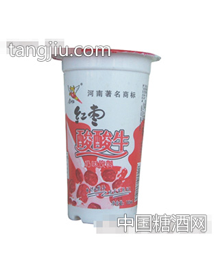 180ml金利尔红枣酸酸牛奶味饮料