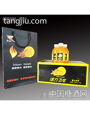 260mlx15瓶金利尔活力飞龙果汁饮料