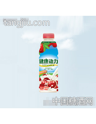 健康动力金丝小枣