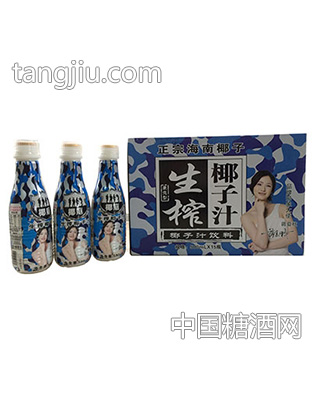 椰庭迷彩椰子汁500mlx15瓶
