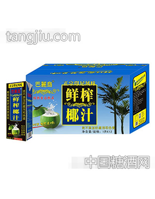 巴丽岛鲜榨椰汁1Lx12