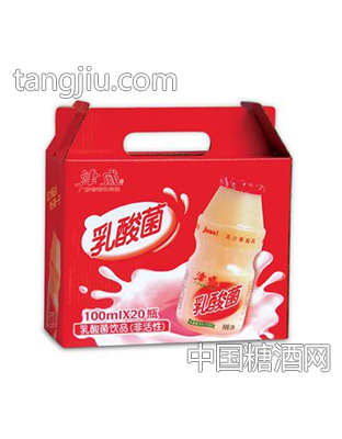 津威乳酸菌饮品100ml20瓶装