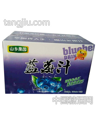 山乡果园蓝莓汁500mlX15瓶