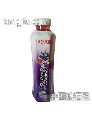 山乡果园蓝莓汁500ml