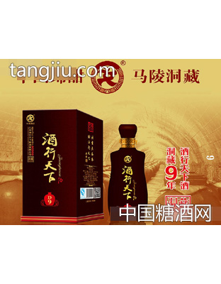 酒行天下酒·洞藏九礼盒装