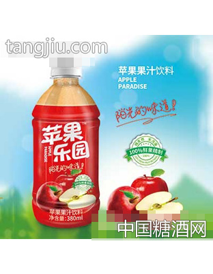 苹果乐园苹果果汁饮料380ml