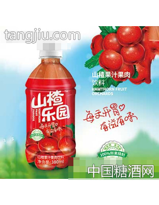 山楂乐园山楂果汁果肉饮料380ml