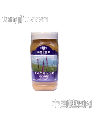 天山黑蜂山花蜜1000g
