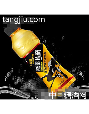 能量传奇600ML